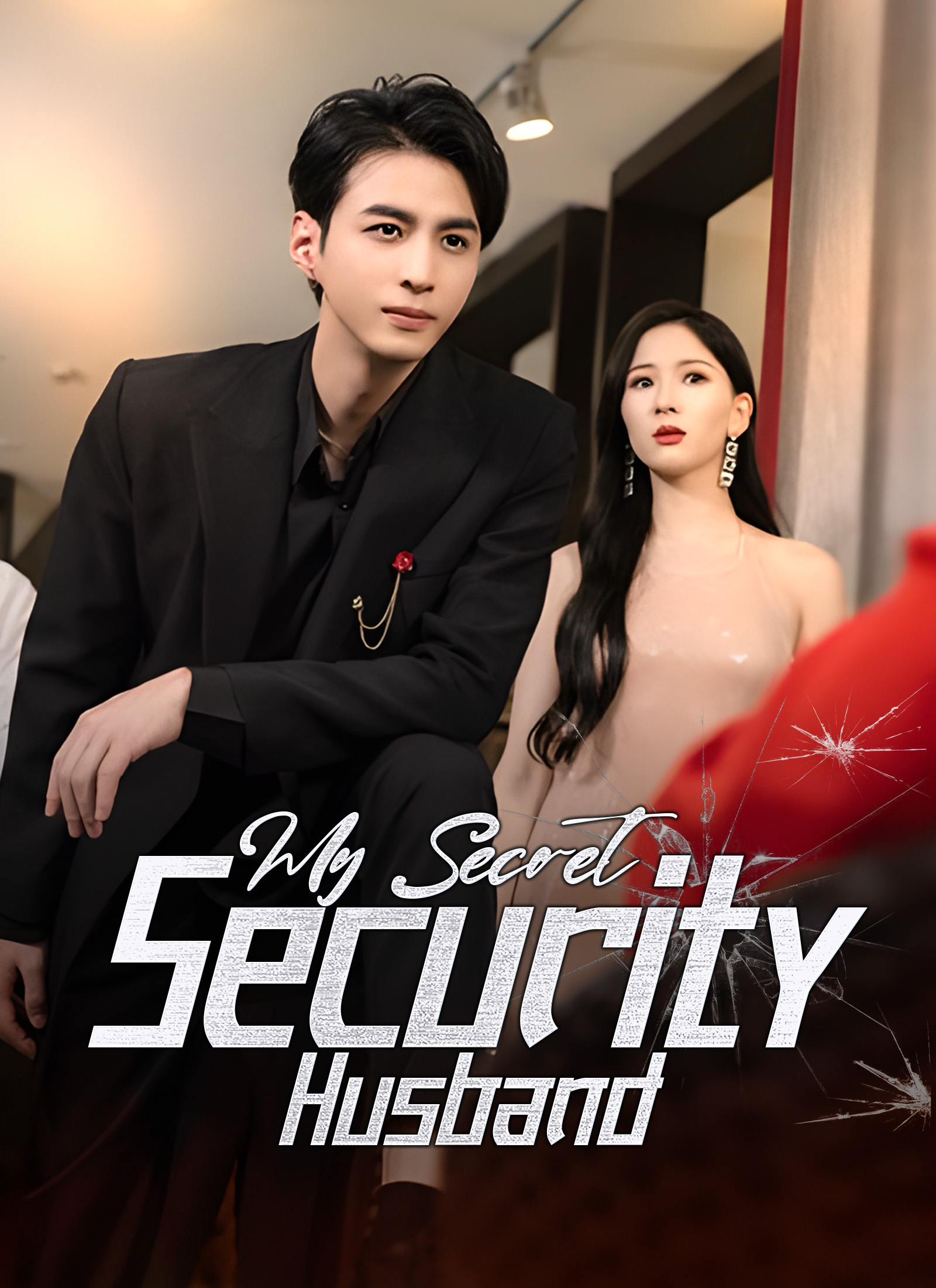 My Secret Security Husband
