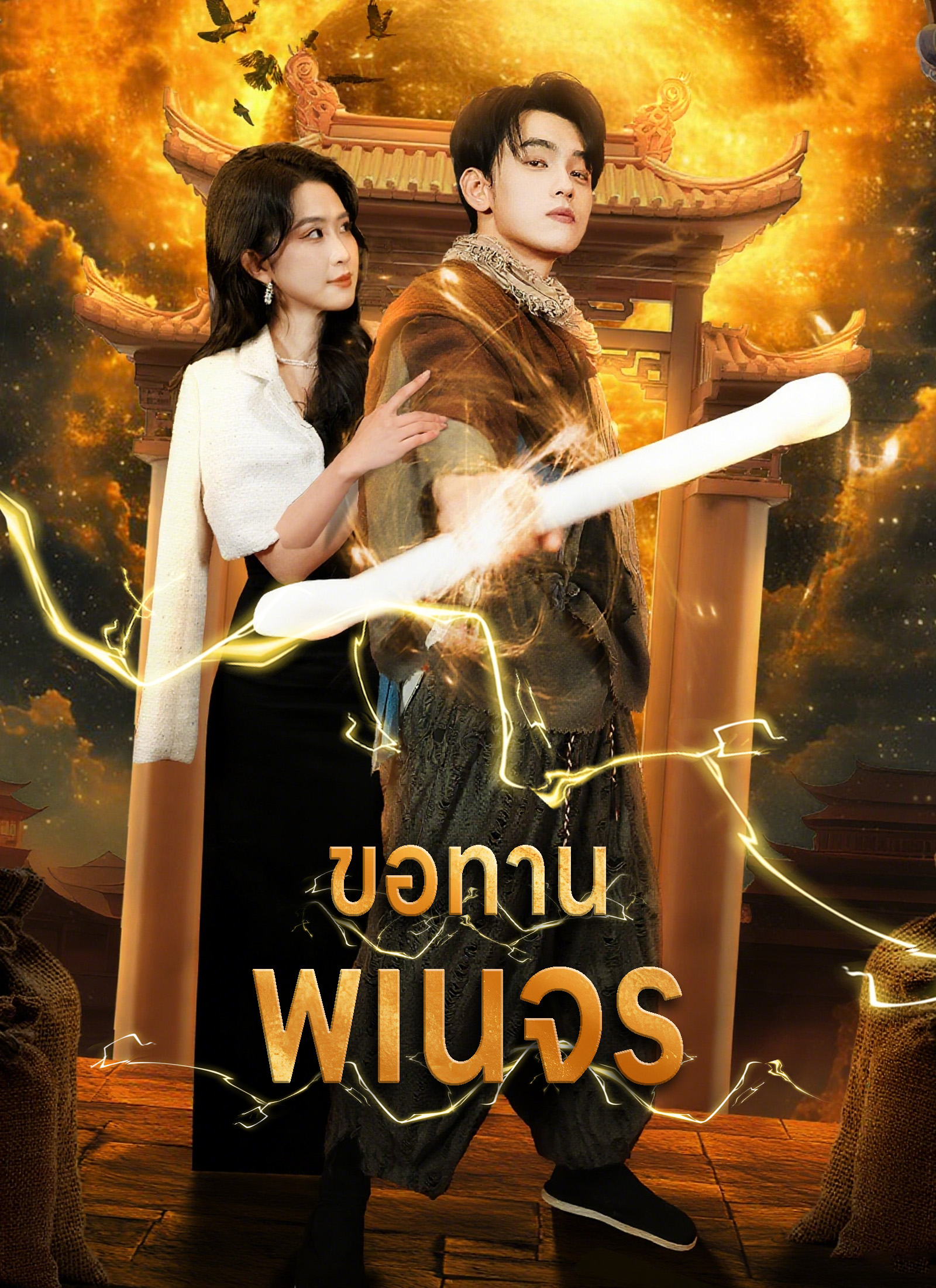 Poster ขอทานพเนจร