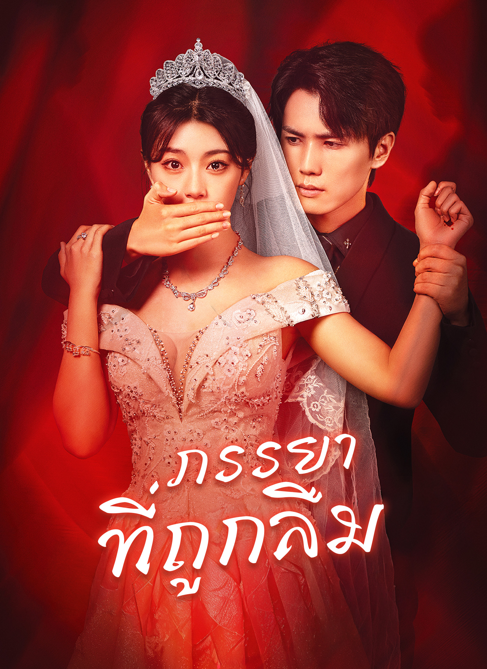 Poster [พากย์ไทย]ภรรยาที่ถูกลืม