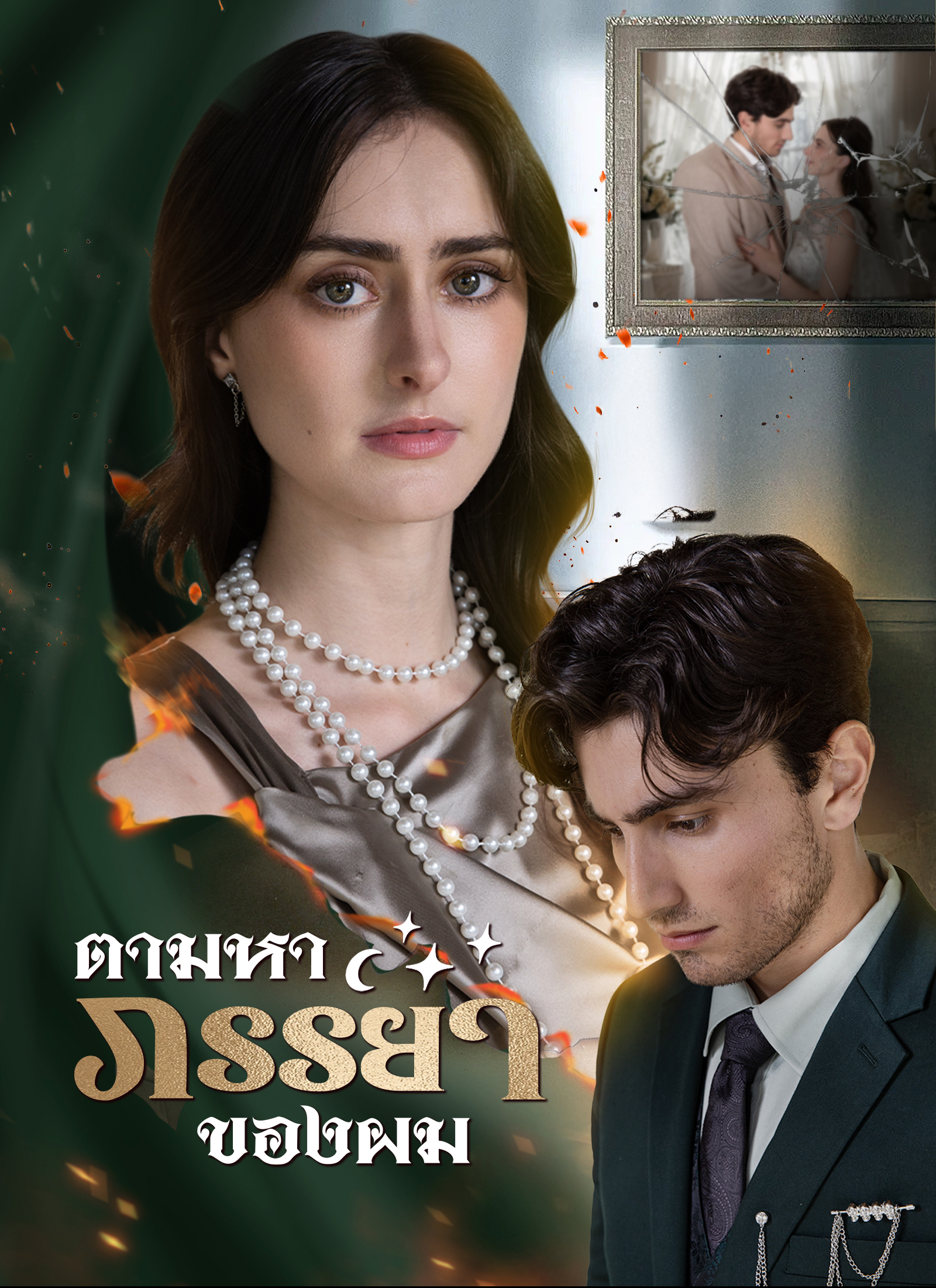Poster [พากย์ไทย]ตามหาภรรยาของผม