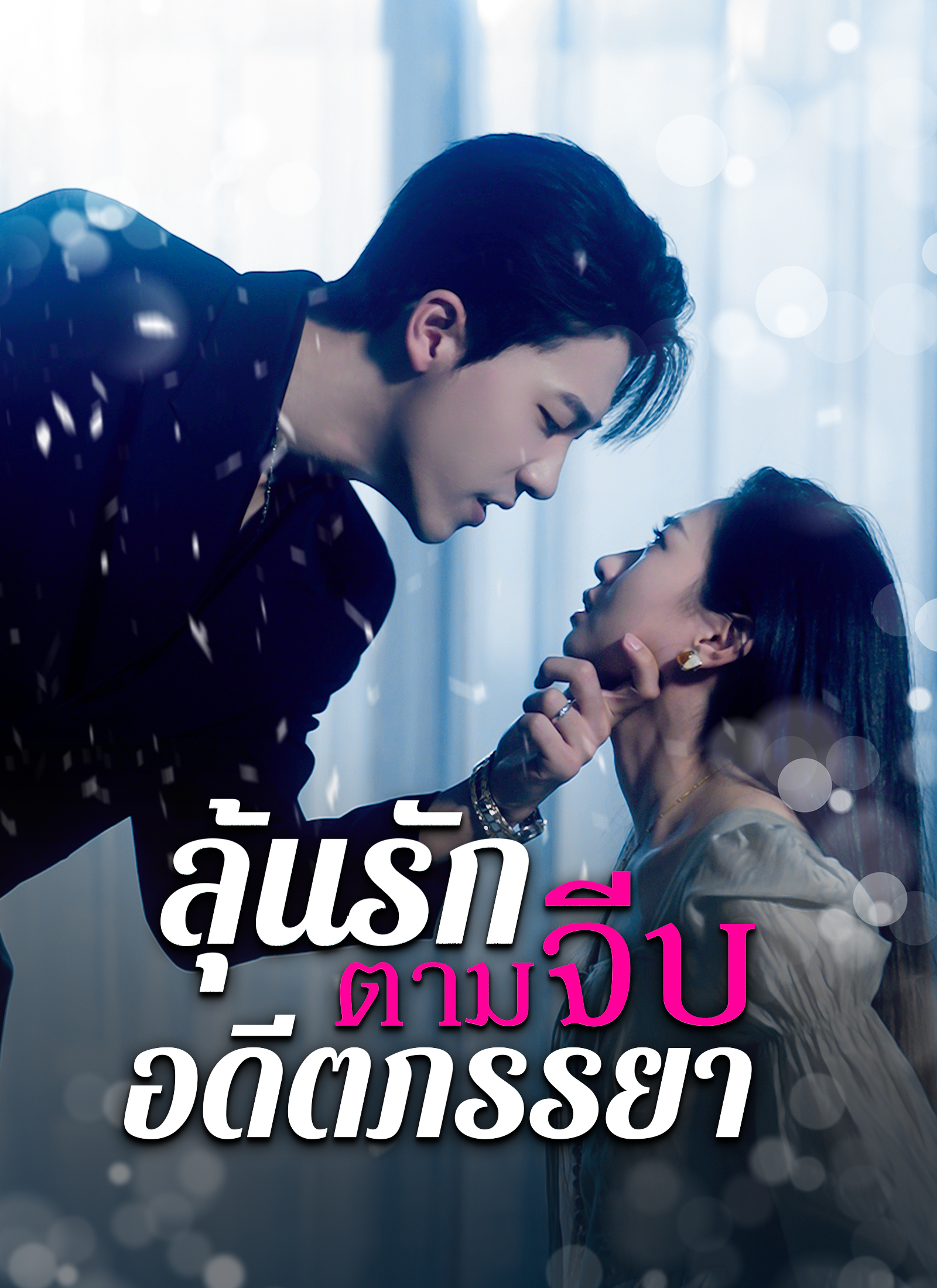 ลุ้นรักตามจีบอดีตภรรยา