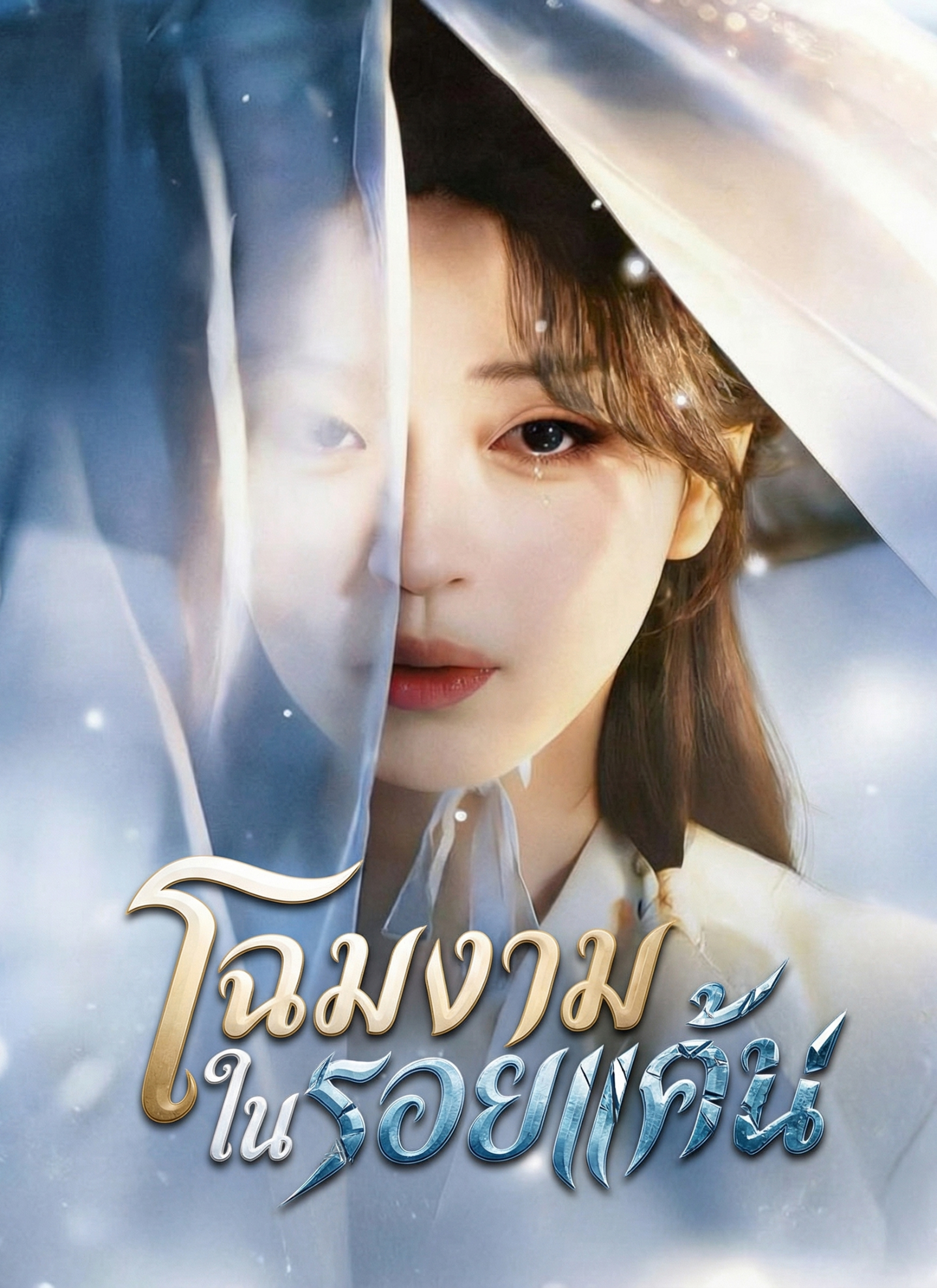 Poster โฉมงามในรอยแค้น