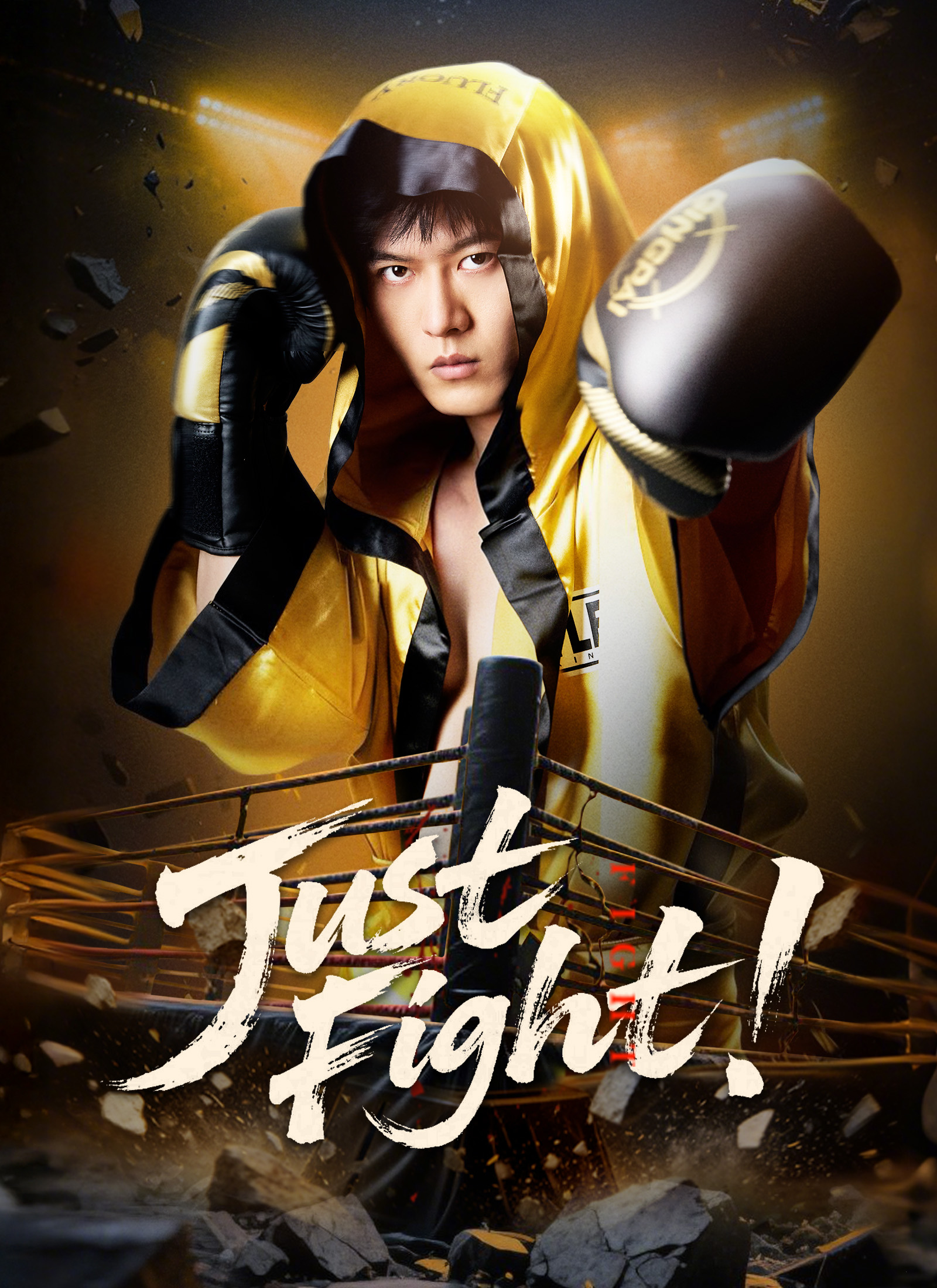 Just Fight! Dubbed